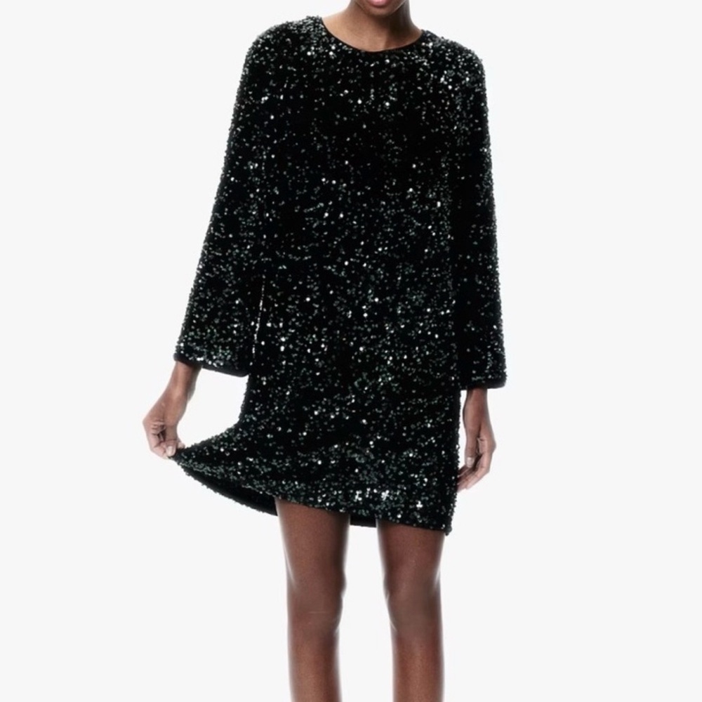 H&M Dark Green Velvet Sequin Long Sleeve Shift Dress